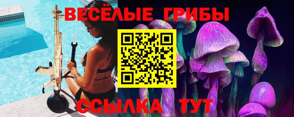 купить наркотик  Вход с VPN  Когалым  Псилоцибиновые грибы Psilocybine cubensis 